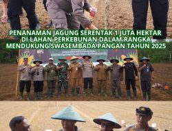 KAJATI PAPUA BARAT YANG DIWAKILI ASINTEL KEJATI PAPUA BARAT MENGHADIRI KEGIATAN PENANAMAN JAGUNG SERENTAK 1 JUTA HEKTAR DI LAHAN PERKEBUNAN DALAM RANGKA MENDUKUNG SWASEMBADA PANGAN TAHUN 2025 DI WILAYAH PAPUA BARAT
